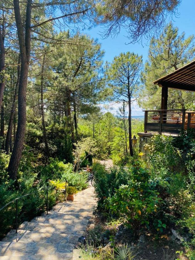 Lou Paradou Lodge Grillon Luaran gambar
